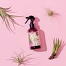 The Grow Co. Organic Air Plant Food Mist Ready to Spray 0.02-0.02-0.02 8 fl.oz. 12/cs. 