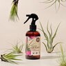 The Grow Co. Organic Air Plant Food Mist Ready to Spray 0.02-0.02-0.02 8 fl.oz. 12/cs. 