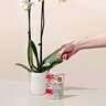 The Grow Co. Slow Release Granular Orchid Plant Food 13-4-14 5 oz. 12/cs.