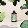 The Grow Co. Organic Liquid Fiddle Leaf Fig Plant Food Concentrate 3-1-2 8 fl.oz. 12/cs.