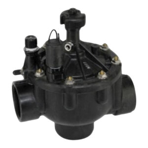 P-220 Globe/Angle Valve, 2 in. Npt, Electric, 24V Ac, Pressure Reg.