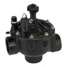 P-220 Globe/Angle Valve, 2 in. Npt, Electric, 24V Ac, Pressure Reg.