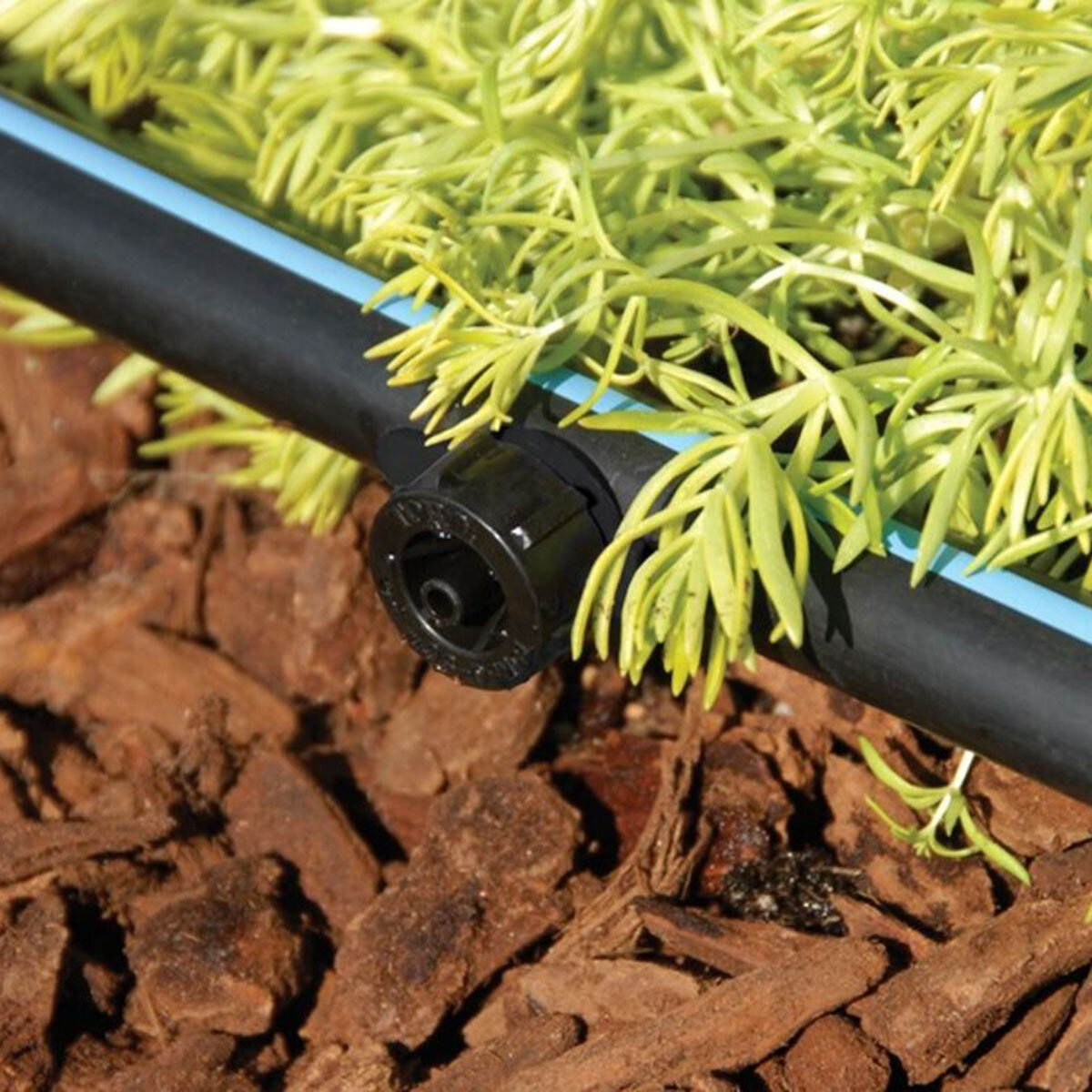Toro Turbo Plus PC Emitter 0.53 GPH (2 LPH) | SiteOne US
