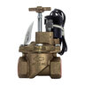 Toro Globe Valve 220 Brass 1-1/4 in. w/ Pressure Regulator w/ Spike Guard NPT