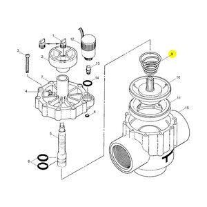 Spring for a 252 1-1/2 in. valve