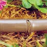 Toro Drip-In PC Brown 17mm Surface Dripline 0.58 GPH 12 in. Spacing 250 ft. (Sold per Roll)