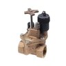 Toro Globe Valve 220 Brass 1 in. w/ Flow Control FIPT x FIPT