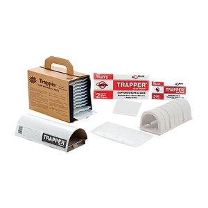 Trapper Tunnel Rat Glue (Plastic) 
