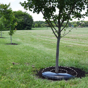 TreeDiaper TD36R Round Treemat 36 in.