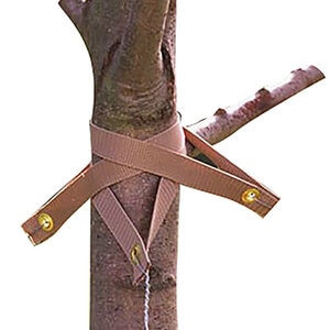 Treestrap Woven Tree Strap Green Polypropylene 2 to 4 ft. Caliper 18 in. Eyelet Grommet 1 in.