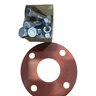 3 Nut Bolt Ss W/ Neoprene Gasket