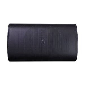 TruAudio 6" 2-Way Outdoor Speakers in Black – Premium Weather-Resistant Audio System for Exceptional Sound Quality