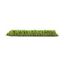 Turf1 Legacy Light Turf 1.6 in. 60 oz. Face Weight Field/Olive Blades Green/Tan Thatch