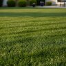 UFLEXX Fertilizer 46-0-0 50 lb.