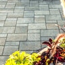 Unilock Beacon Hill Flagstone Paver Random Alpine Gray 6 cm (116.57 sq. ft./pallet)