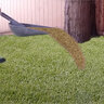 Unilock Alliance Gator Xturf Synthetic Turf Classic Blend 47 oz. Face Weight 1.58 in. Lime Green 15 ft. x 33 ft.