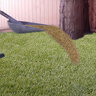 Unilock Alliance Gator Xturf Synthetic Turf Classic Blend 47 oz. Face Weight 1.58 in. Forest Green 15 ft. x 100 ft.