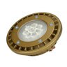 Flex Led 10W 2700K 24V Wide Flood
