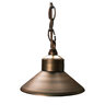 Unique Observer Hanging Light Brass Housing Weathered Brass No Lamp