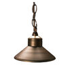 Unique Observer Hanging Light Brass Housing Weathered Brass 2W 3000K LED