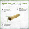 Landscape Timbers #3 6 in. x 6 in. x 8 ft.