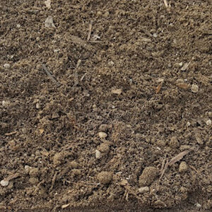 Screened Loam Bulk (per cu. yd.)