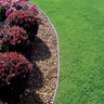 Valley View Black Generic Diamond Poly Landscape Edging 5-1/2 in. x 20 ft.