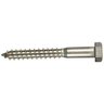 Lag Bolts 3 in. x 3/8 in.