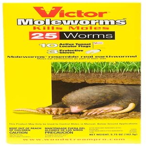 Victor Moleworms 25 pk.