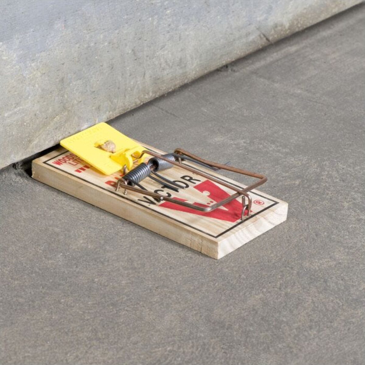 Victor M9 Professional Rat Trap (12 Count/Case) | SiteOne US