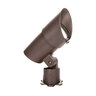 WAC Lighting Large Spot Accent Light 3000K Brass