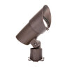 WAC Lighting Large Spot Light 4000K Brass