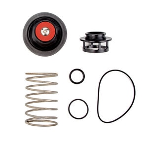 Watts RK 919-VT 1 1/4-2 Total Relief Valve Kit