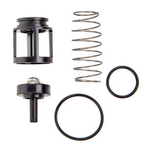 Watts RK 919-CK2 3/4 Second Check Repair Kit