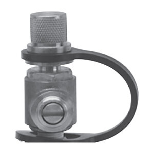 Watts RK TC-P 1/8-1/4 Test Port Cap & Thether