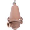 Watts LF223-B Lead Free Water Pressure Reducing Valve 1-1/4 in. FNPT