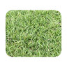 Bermuda Sod Bandera Bermudagrass (per sq. ft.)