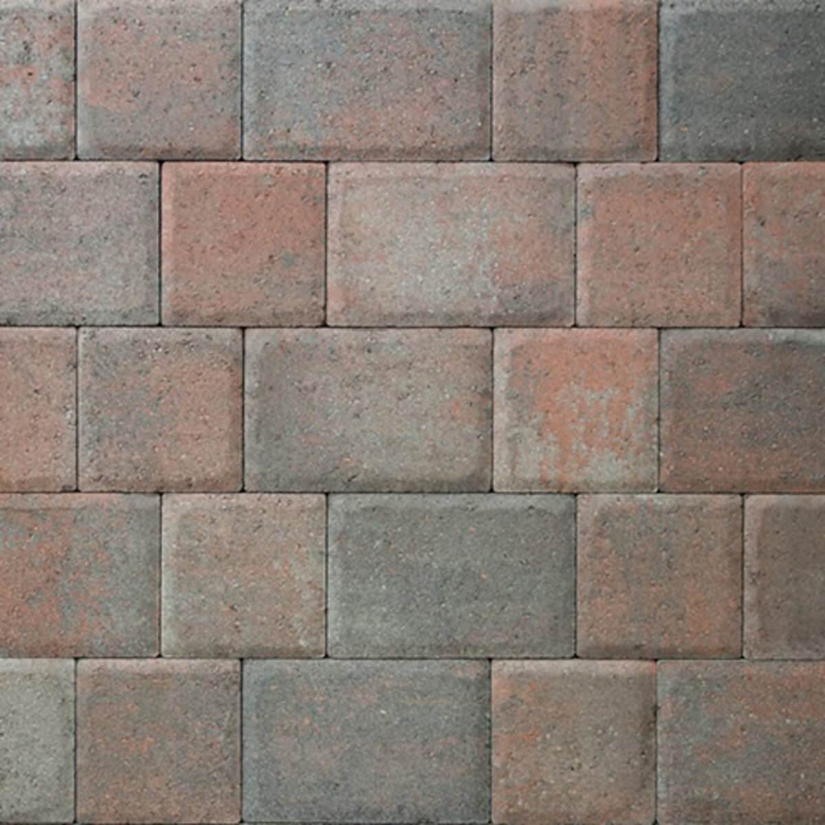 Western Interlock Cobble Plaza Stone Paver 11.73 in. x 7.8 in ...