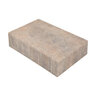 Western Interlock Leiden Multi Stone Paver 5 pc. Jamestown Blend 2.36 in. (10 layer/pallet)