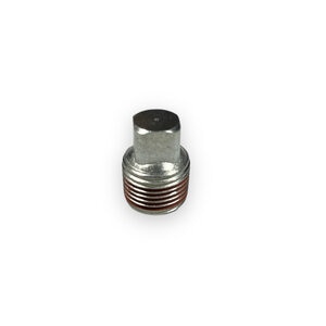 Plug Fill 38 Npt OEM Western