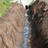 Western Green Triple-Net Coconut Turf Reinforcement Mat 8 ft.