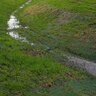 Western Green PP5 Xtreme High Performance Woven Turf Reinforcement Mat 8 ft. x 135 ft.