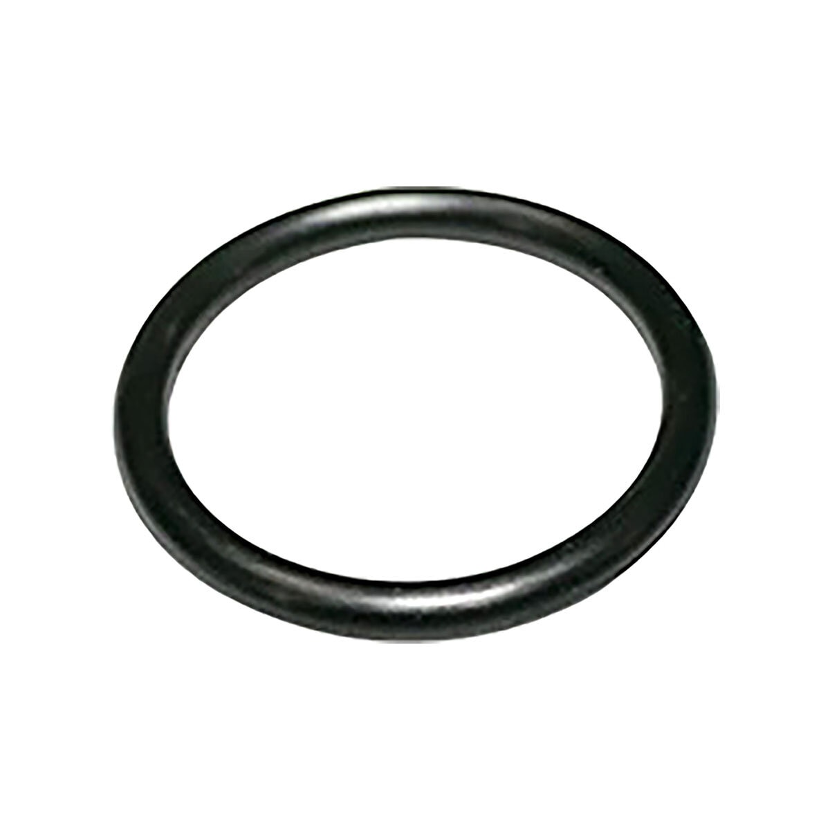 Wilkins Housing Inlet O-Ring | SiteOne US