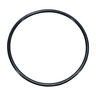 1 Pvb Fda O Ring Wilkins