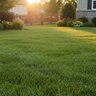 Woodace 12-3-6 A.C.R EE MESA 3% Fe 0.5% Mn Turfgrass Granular Fertilizer 40 lb. Bag