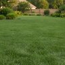 Sigma Long Term Fertilizer 18-5-10 40 lb.