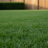 Woodace Granular Fertilizer 18-5-10 Long Term + U-Form EXPO 1.6Fe 0.3Mn 40 lb.