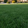 Woodace Granular Fertilizer 18-5-10 Long Term + U-Form EXPO 1.6Fe 0.3Mn 40 lb.