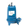 Goulds Sewage Pump 1 Phz. 1/2 HP