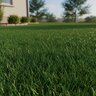 YARA Turf Royale Fertilizer 21-7-14 1,000 lb.